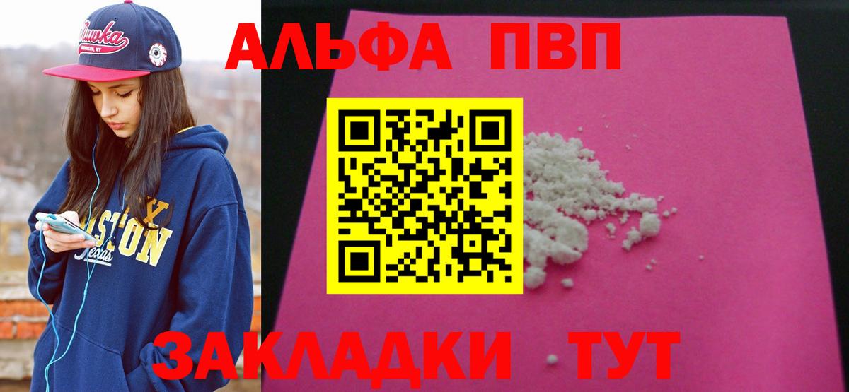 Альфа ПВП СК Ливны