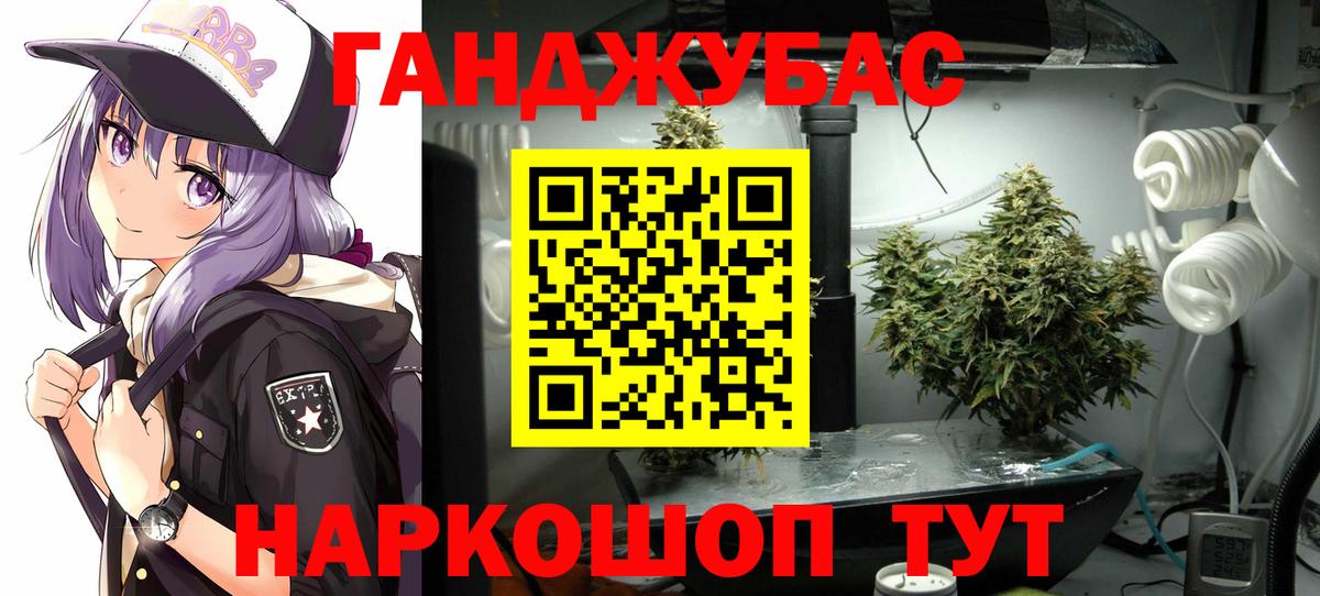 Бошки Шишки VHQ  Каннабис план  Ливны  Канабис OG Kush  Вход с VPN 
